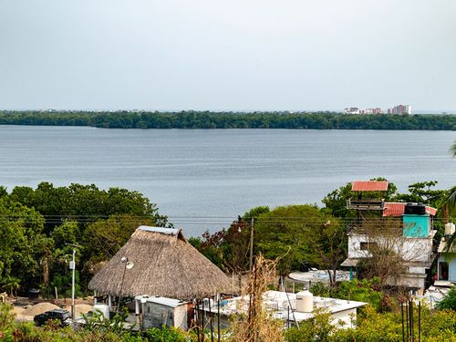 Bioluminiscencia Laguna Manialtepec