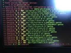 r/Gentoo - POV: When you haven’t updated in a while