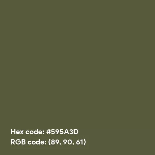 Light Army Green (Hex code: 595A3D) Color Thumbnail