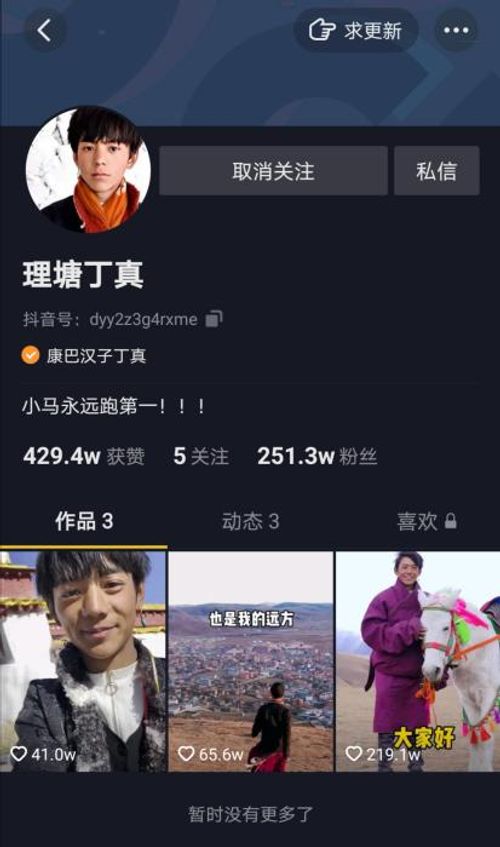 丁真抖音账号截图