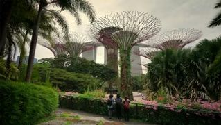 A City in Nature | WILD HOPE