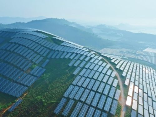 光与绿交响！光伏进茶园实现茶光互补发电