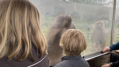 Knuthenborg Safaripark