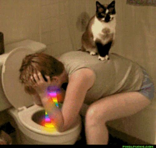 um gato senta nas costas de uma mulher enquanto ela vomita no banheiro