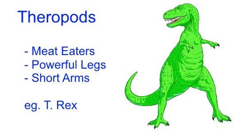 Different Types of Dinosaurs - Theropods