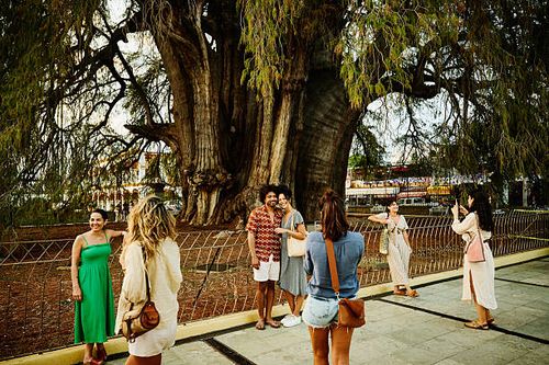 Santa María del Tule