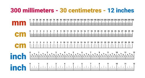 Actual size rulers, 300 millimeters, 30 centimeters and 12 inches. Editable text and strokes