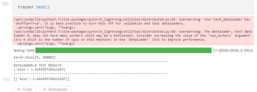 testing | Pytorch Lightning