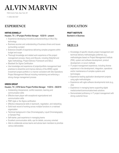 Project Portfolio Manager Resume Sample