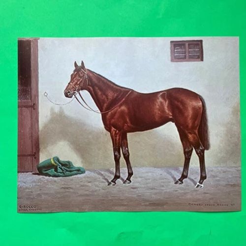 Richard Stone Reeves Print Book Page RIBOCCO Thoroughbred Horse Racing Art - Image 1 of 4