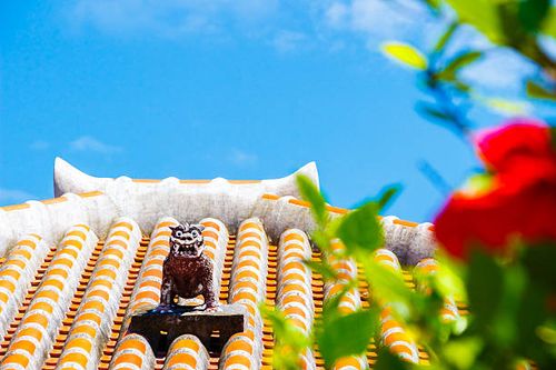  Top Places to Visit in Okinawa: A Tropical Paradise Awaits
