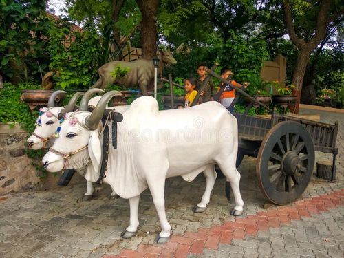 Indian children playing in a beautiful bullock cart at shree swaminarayan temple kundaldham, gujarat,india. Indian bullock cart stock images, royalty-free photos and pictures