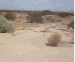 WmFRRS8yMDAuZ2lm.gif