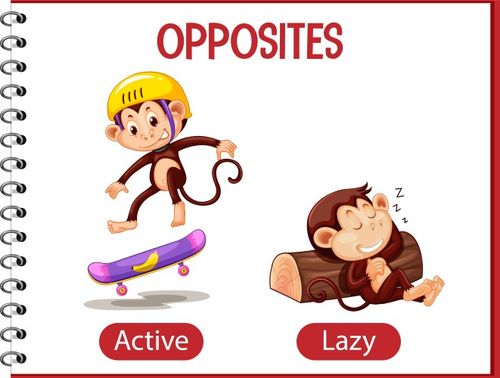 Opposite words with active and lazy Vector Image