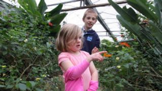 Studley Grange Butterfly Gardens and Craft Centre