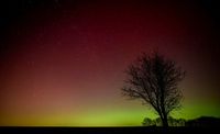 The Solar Lottery: Why We Are Obsessed With the Aurora Forecast