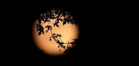 Beyond the Glow: Why Celestial Cycles Matter More Than the Moon's Fullness