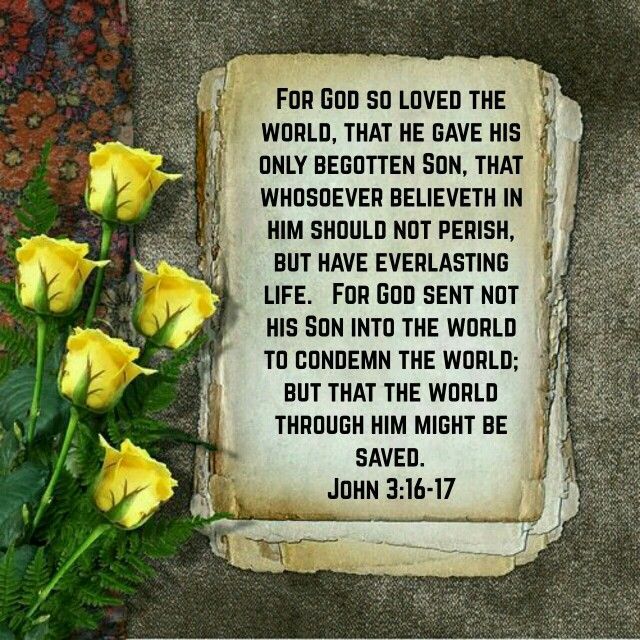 John 3:16-17 (KJV)