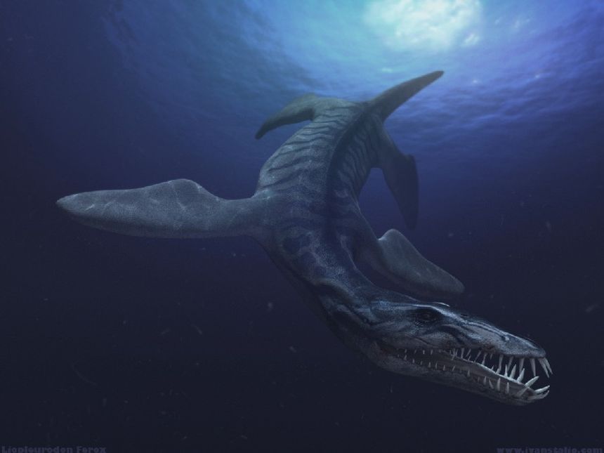 Liopleurodon