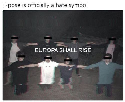 T-pose is officially a hate symbol EUROPA SHALL RISE