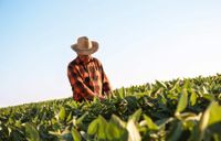 Reforma tributária: autônomos e produtores rurais ganham mais seis meses para se adaptar
