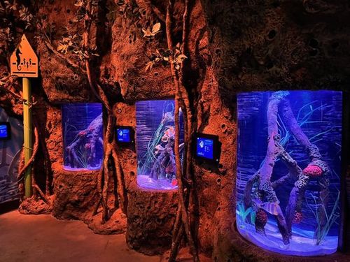 SEA LIFE New Jersey Aquarium