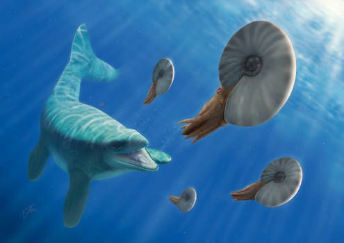 Platecarpus