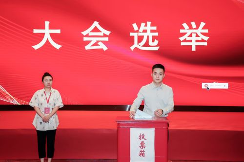 企业AI应用咨询：如何用AI优化用户搜索体验