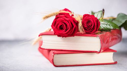 imatges llibres i roses sant jordi