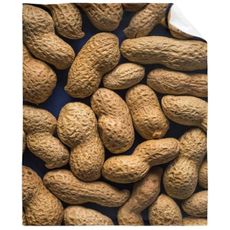 Peanut Blanket Funny Food Throw Blanket for Sofa Chairs Bed, Good Blanket Gift, Lightweight Soft and Cozy 50" x 40" for Kid