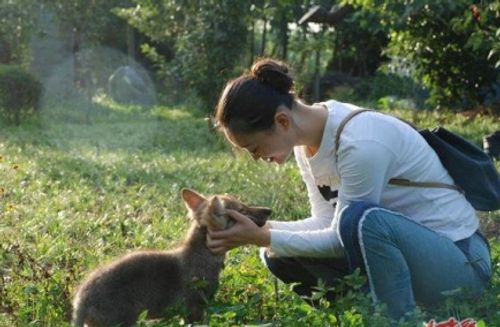 李微漪与狼在一起