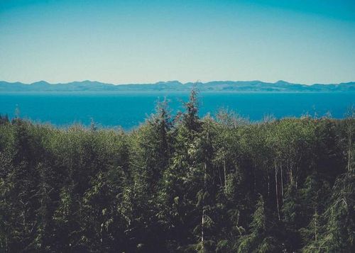 怎么给画中画放大？万兴喵影使用教程