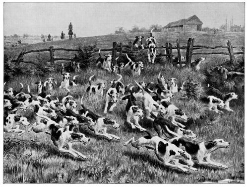 full cry, 1884 by thomas blinks - 19th century - fox hunting painting stock illustrations