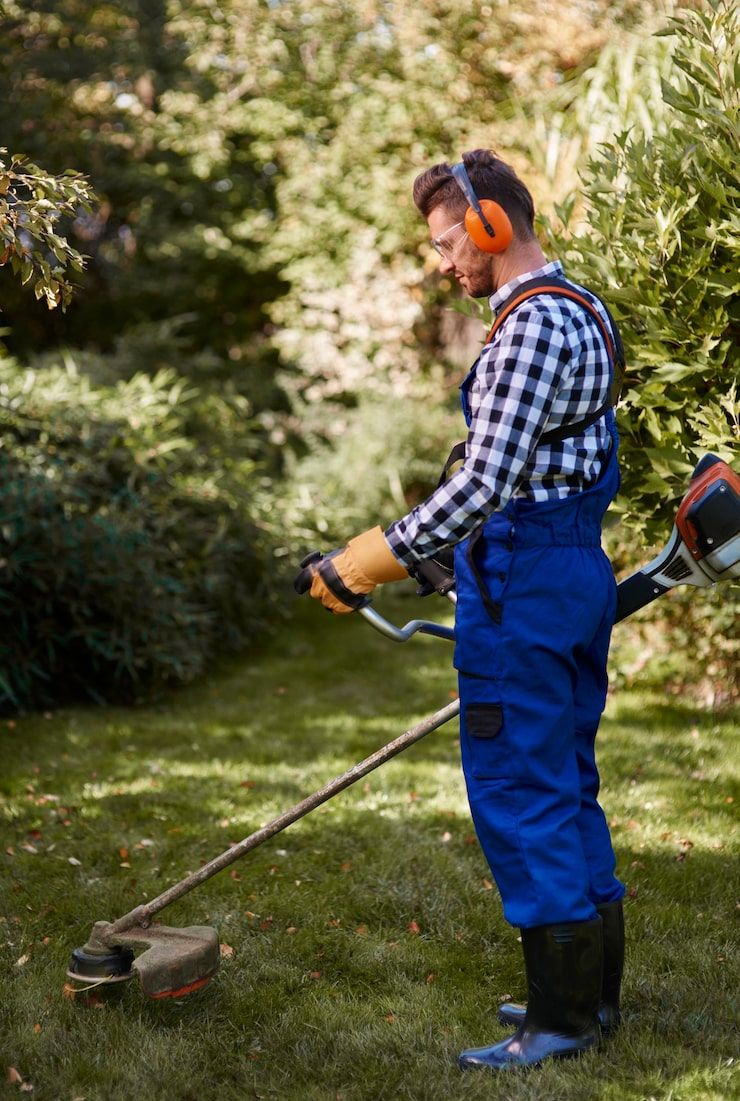 A man using a string trimmer to mow a lawn.