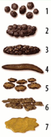 Bristol_stool_scale_neutral.png
