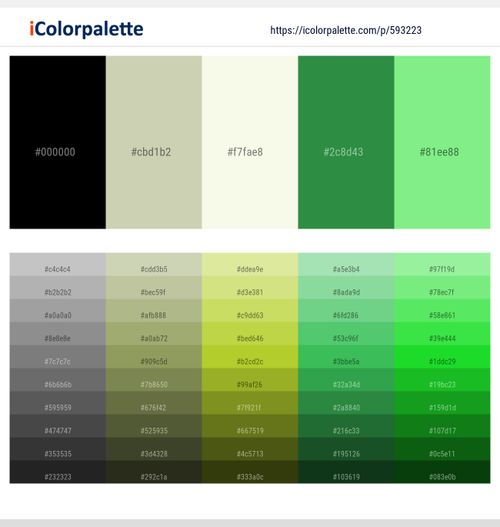 593223Black – Green Mist – Rum Swizzle – Sea Green – Pastel Green Color scheme