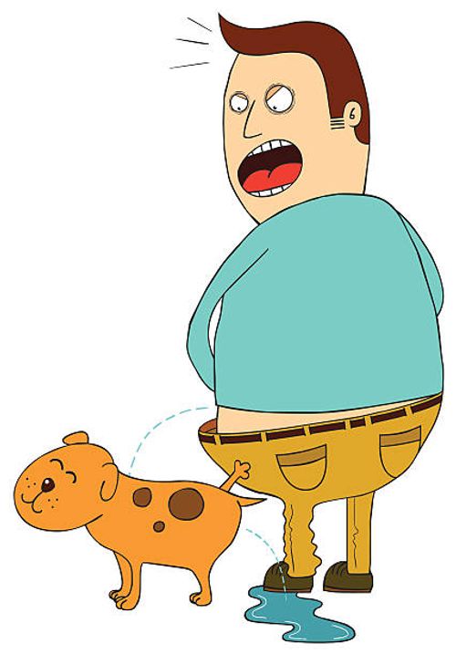Impolite pet Illustration of an impolite pet making a man angry. This illustration is available in vector eps 8 file dog urine stock illustrations
