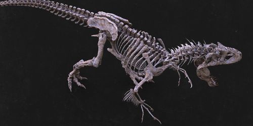 Indominus Rex Skeleton