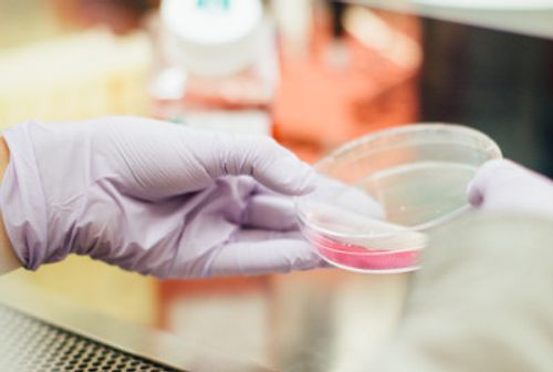 Nahaufnahme einer Petrischale