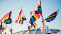 Queer MTL things to do: September 2026 | Tourisme Montréal