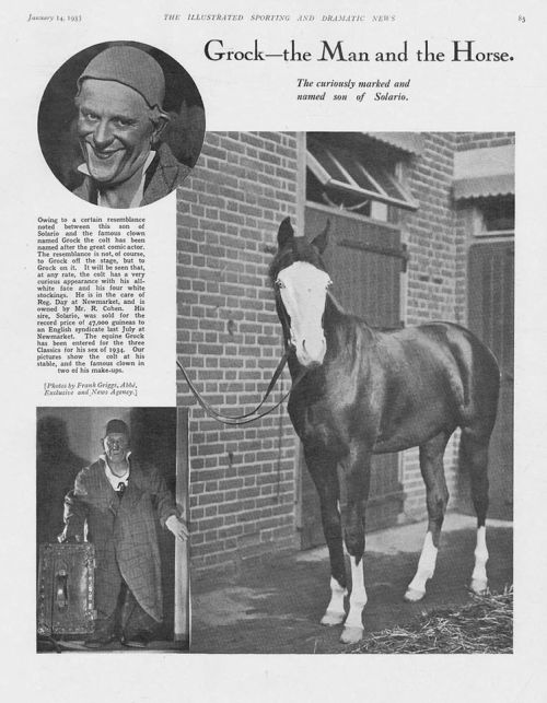 HORSE RACING Grock Son of Solario named after Famous Clown - Antique Print 1933 - Image 1 of 1