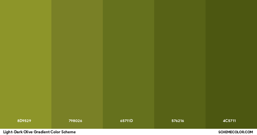Download PNG image of Light-Dark Olive Gradient Color Scheme