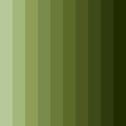 Download dark green moss color palette PNG image (square)