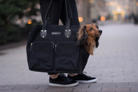 LPT - Get your dog used to being carried