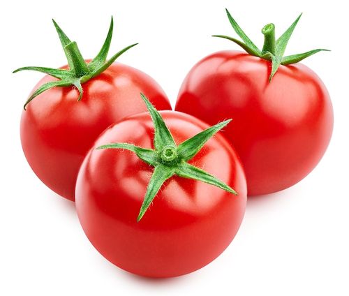 Tomato