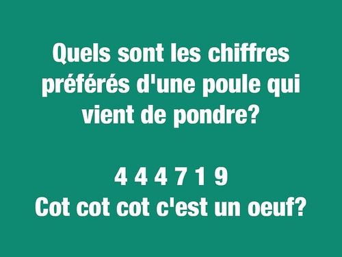 https://imgs.search.brave.com/eCqE_3AyIR1bDtvRUFfx4CHV2R8wtmrYhjbILX-jGnk/rs:fit:500:0:1:0/g:ce/aHR0cHM6Ly93d3cu/c2VsZWN0aW9uLmNh/L3dwLWNvbnRlbnQv/dXBsb2Fkcy8yMDIx/LzAzL2JsYWd1ZXMt/Y291cnRlcy1kcm9s/ZXMtYW5pbWF1eC1w/b3VsZS5qcGc_Zml0/PTY5Niw1MjI