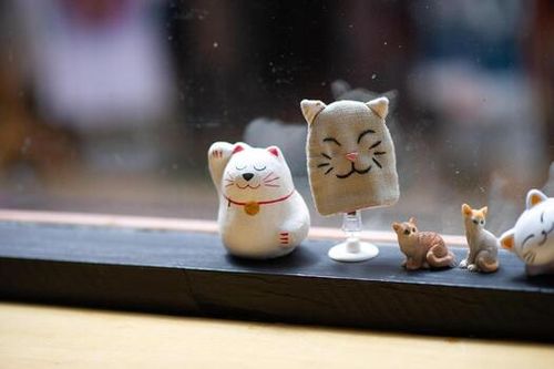 A cute cat doll placed by the window photo