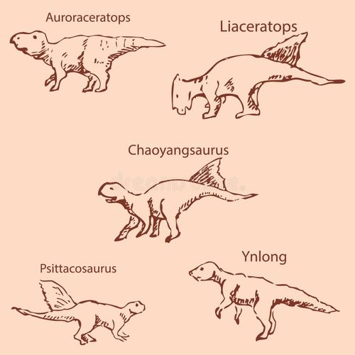 Dinosaurs with names. Pencil sketch by hand. Vintage colors. Vector image. Dinosaurs names vectors