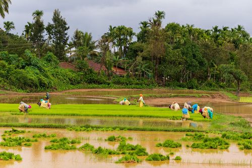 Turkmenistan Considers Hosting International Agriculture EXPO with BIE Support
