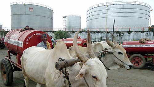 Indian kerosene dealers waits with their bullock drawn cart for supplies outside a petroleum company in Mumbai, 05 July 2005. India's federal cabinet...